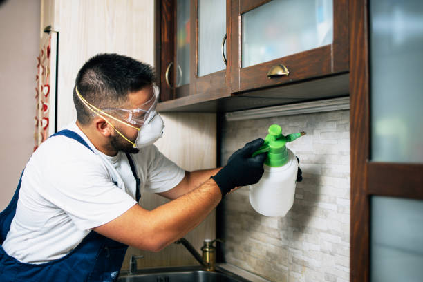 Montara, CA Pest Control Company