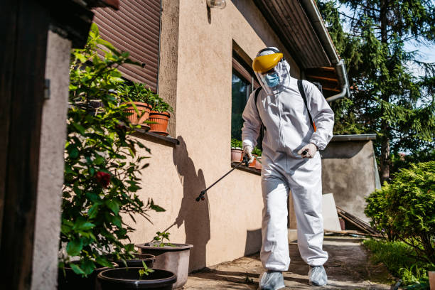 Best Termite Control Services  in Montara, CA