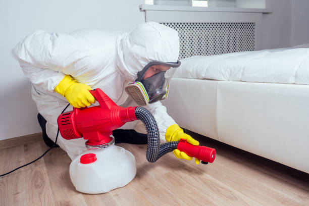 Best Affordable Pest Control Services  in Montara, CA