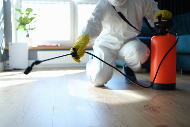 Best Affordable Pest Control Services  in Montara, CA